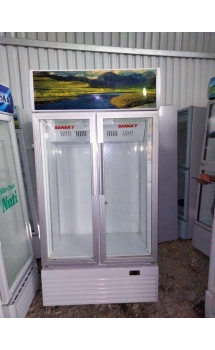 Tủ mát cũ Sanaky VH 6009HP- 600 lít, 