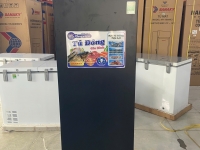 Tủ đông đứng Inverter Sanaky VH-230VD3 213L