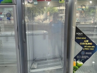 Tủ mát Darling DL-5000A3L Inverter 500L